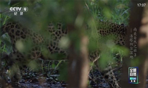 越剧迷app软件免费下载  免费安卓版 3