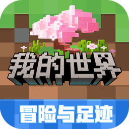 我的世界网易版