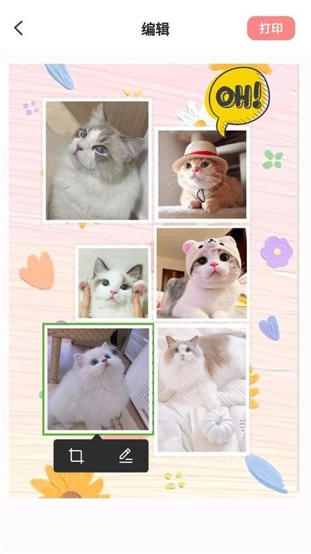 cdd胶卷相机app下载  免费安卓版 0