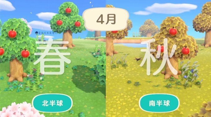 狗狗冰淇淋餐车官方版  免费安卓版 3