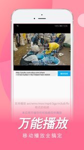 双鱼视频追剧软件免费版  免费安卓版 2