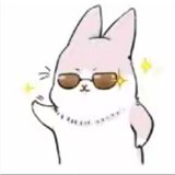 南博兔影视最新版