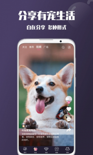 憨憨宠物app最新版本