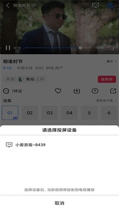 追风视频去广告纯净版