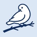BBspace正版下载