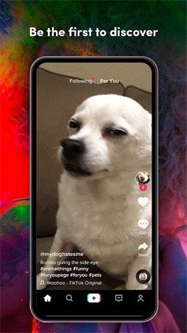 1783587698782843.jpg 1733886917222059.jpg