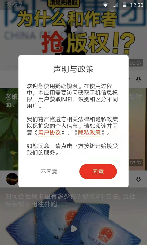 鹦鹉视频下载最新版