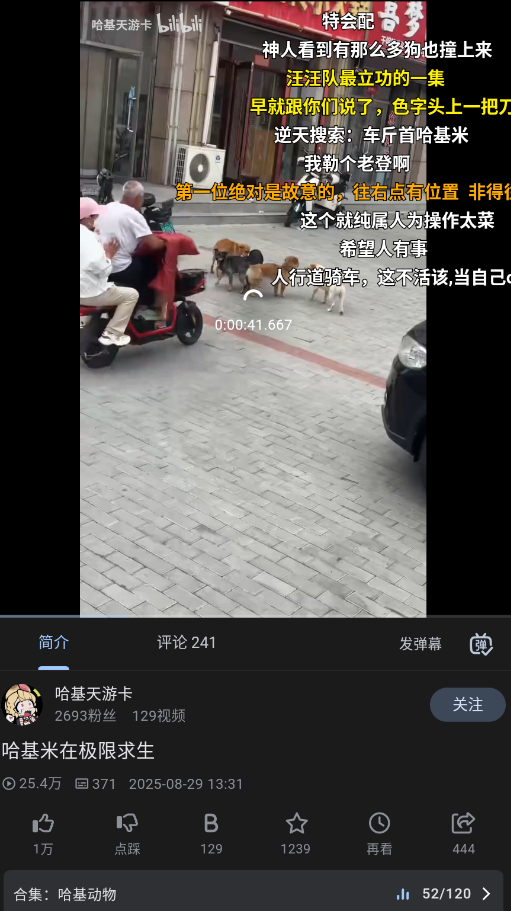 PiliPro升级版