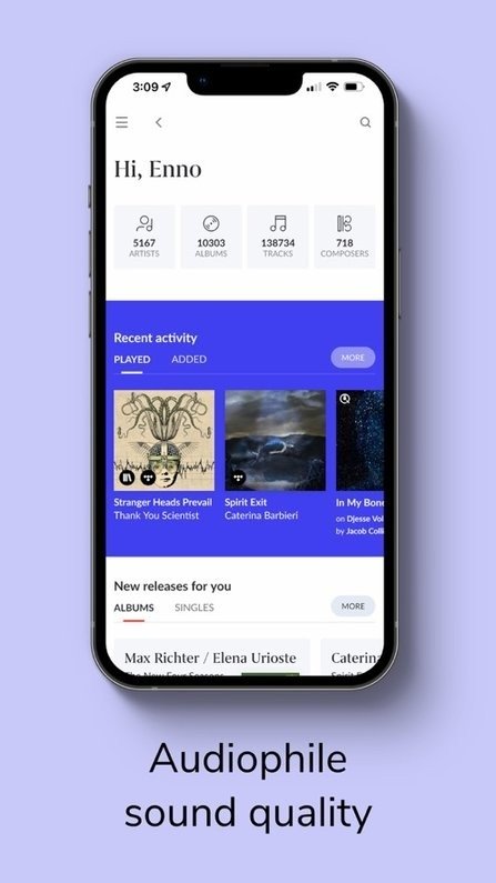 roon音乐安卓app下载