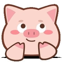 小猪4Kapp安卓版
