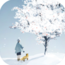 忘雪汉化版