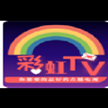 彩虹飞鸟稳定版