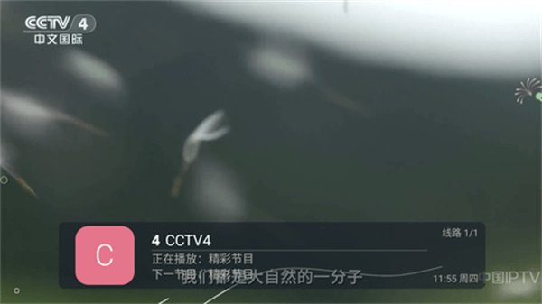 布蕾4K官网最新版  免费安卓版 3