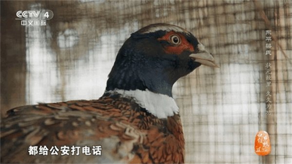 布蕾4K官网最新版  免费安卓版 0