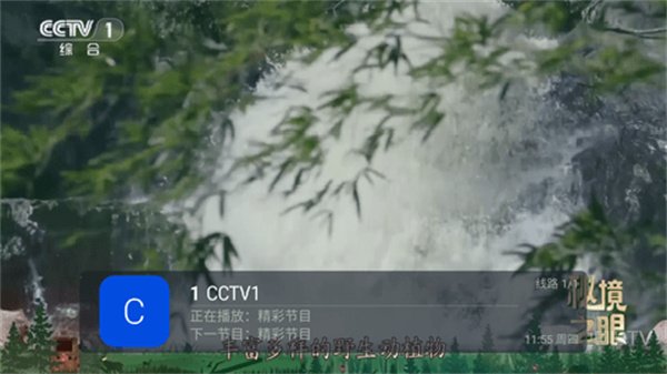 布蕾4K官网最新版  免费安卓版 2