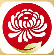 菊花直播电视版app