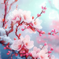梅花影视官方版