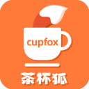 茶杯狐app安卓版下载