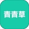 青青草视频在线观看软件下载