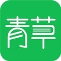 青草小说免费阅读
