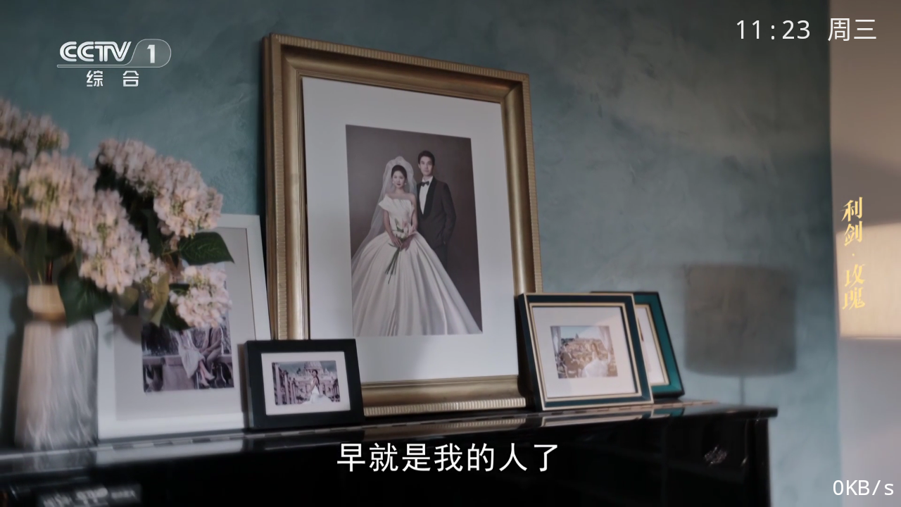 布蕾4K官网最新版  免费安卓版 0