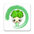 白菜影音播放器app最新版