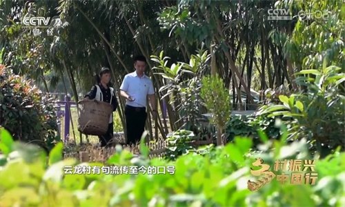 布蕾4K官网最新版  免费安卓版 1