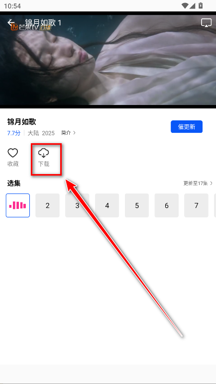 17550536829672575.png
