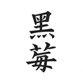黑莓小说旧版本下载