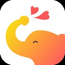 大象视频app免广告安卓版