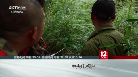 布蕾4K官网最新版  免费安卓版 0