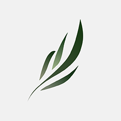 东南小说app下载安装手机版