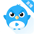 小鹰直播电视版app