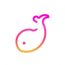 伴鱼音乐app下载官网版